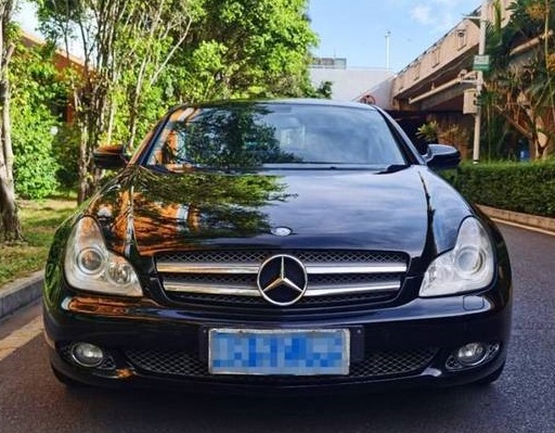 奔驰 奔驰CLS级 2009款 CLS300 3.0 手自一体